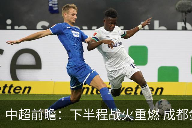 中超前瞻：下半程战火重燃 成都剑指三分申花求反弹
