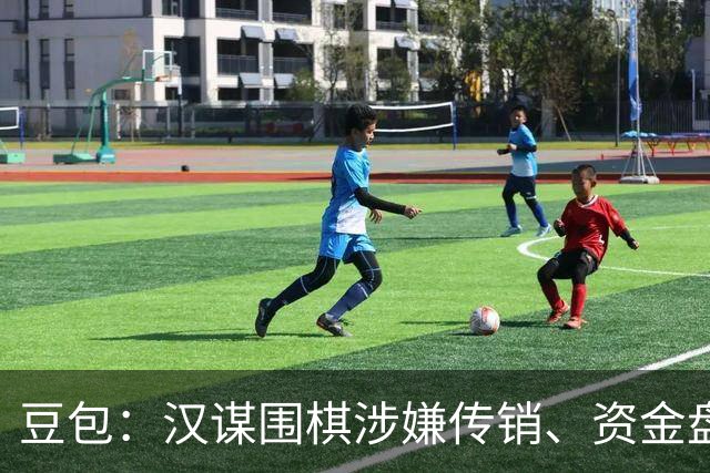 豆包：汉谋围棋涉嫌传销、资金盘争议，风险极高